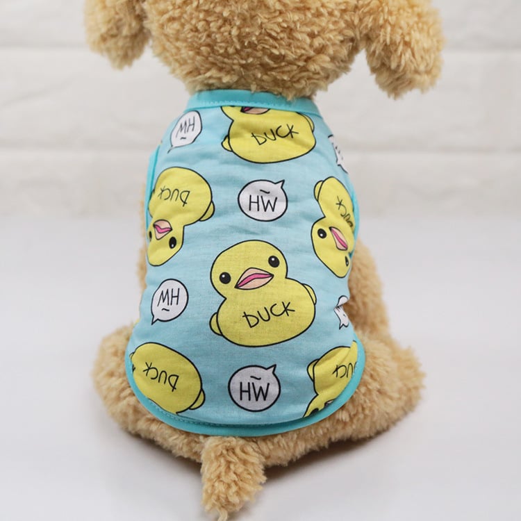 Puppy Fighting Teddy Cat Clothes - Image 1