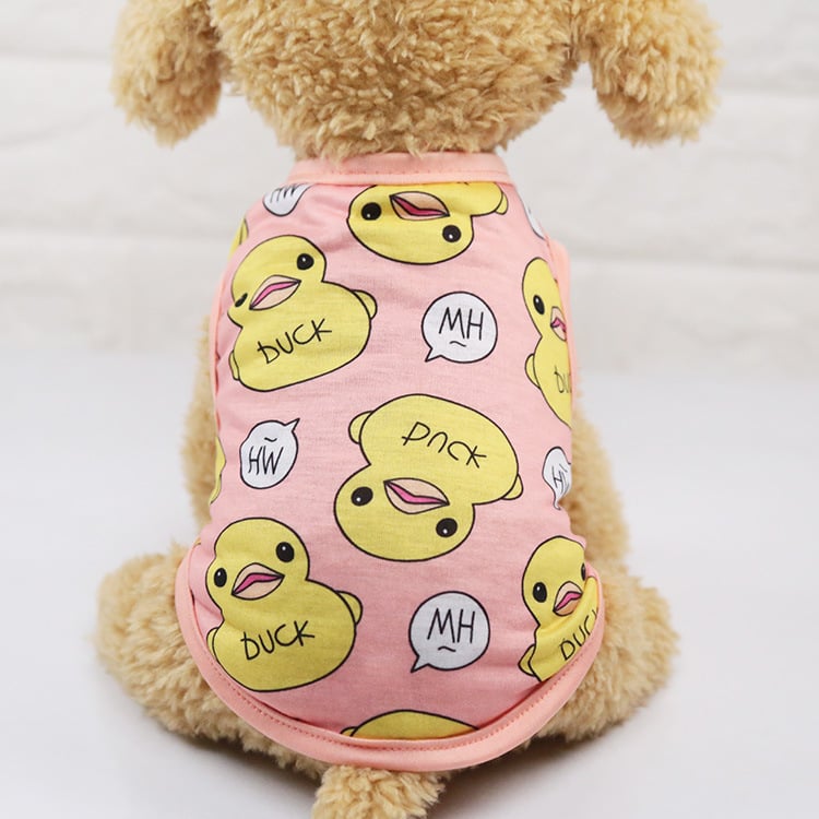 Puppy Fighting Teddy Cat Clothes - Image 2
