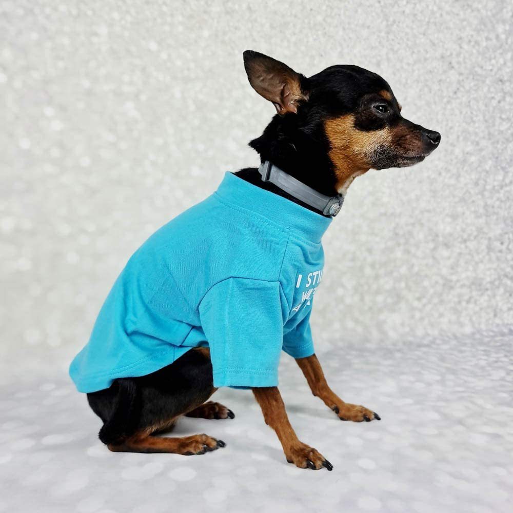 Pet Dog Letter T-shirt - Color Variation