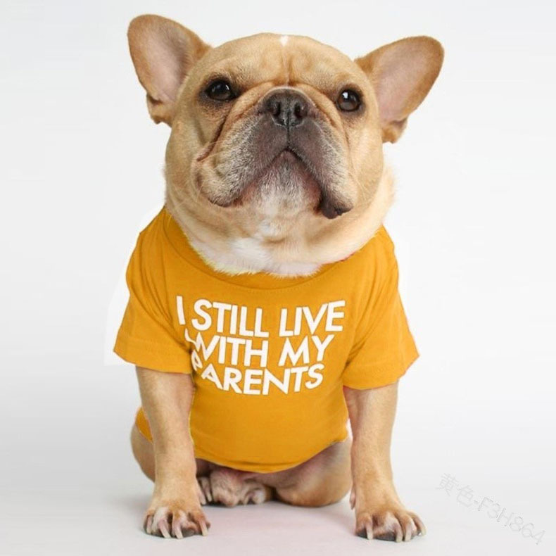 Pet Dog Letter T-shirt - Color Variation