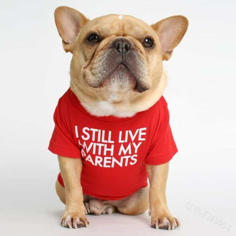 Pet Dog Letter T-shirt - Color Variation