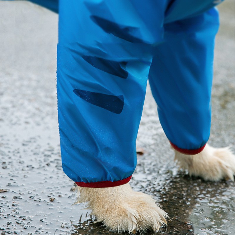 Dog Raincoat 3