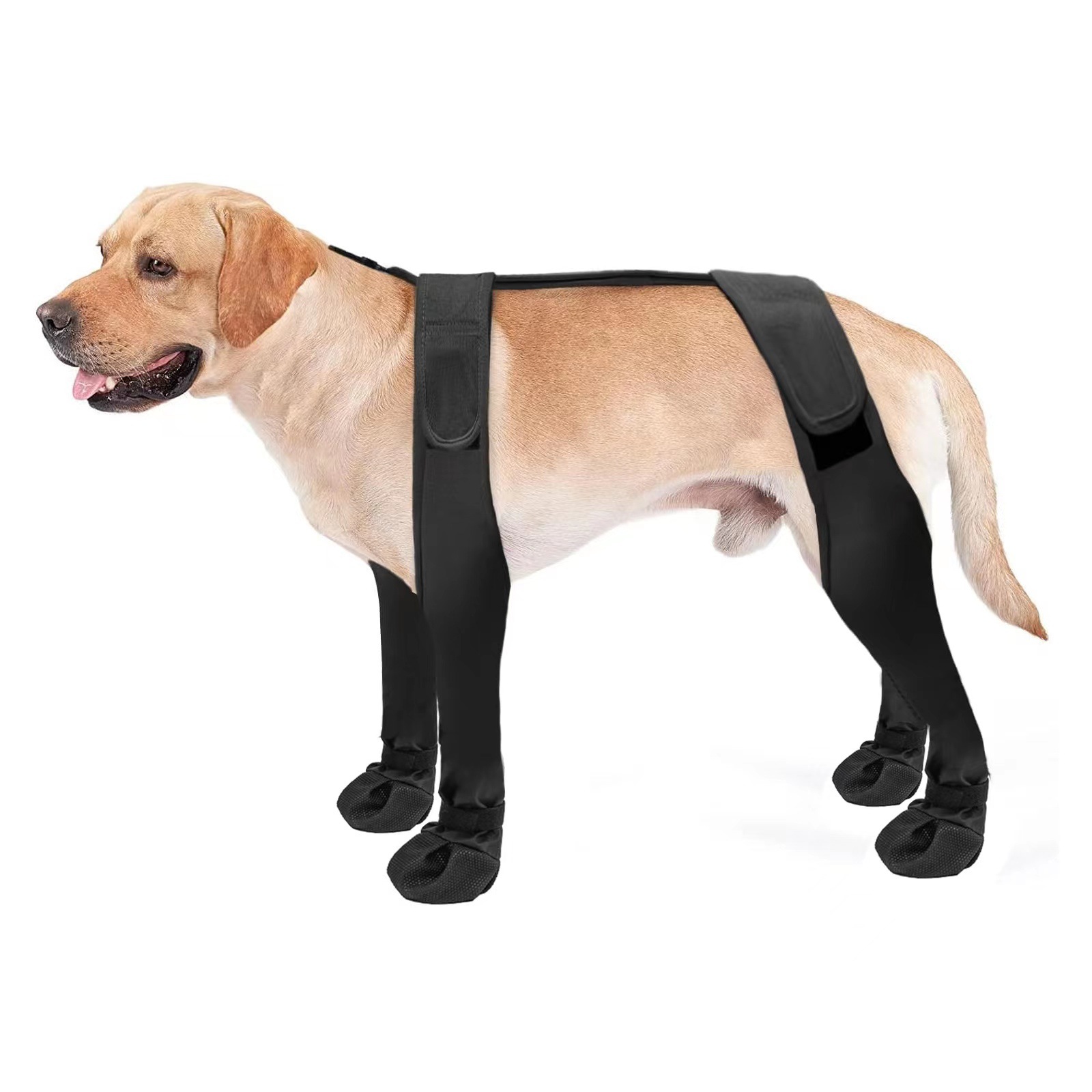 Anti-dirty Dog Shoes in different angles