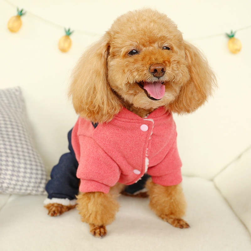 Hug Bear Four-Legged Coat - Playful Style