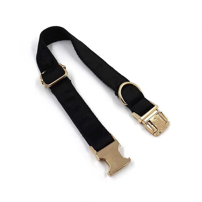 Anti-lost Dog Collar Image 5