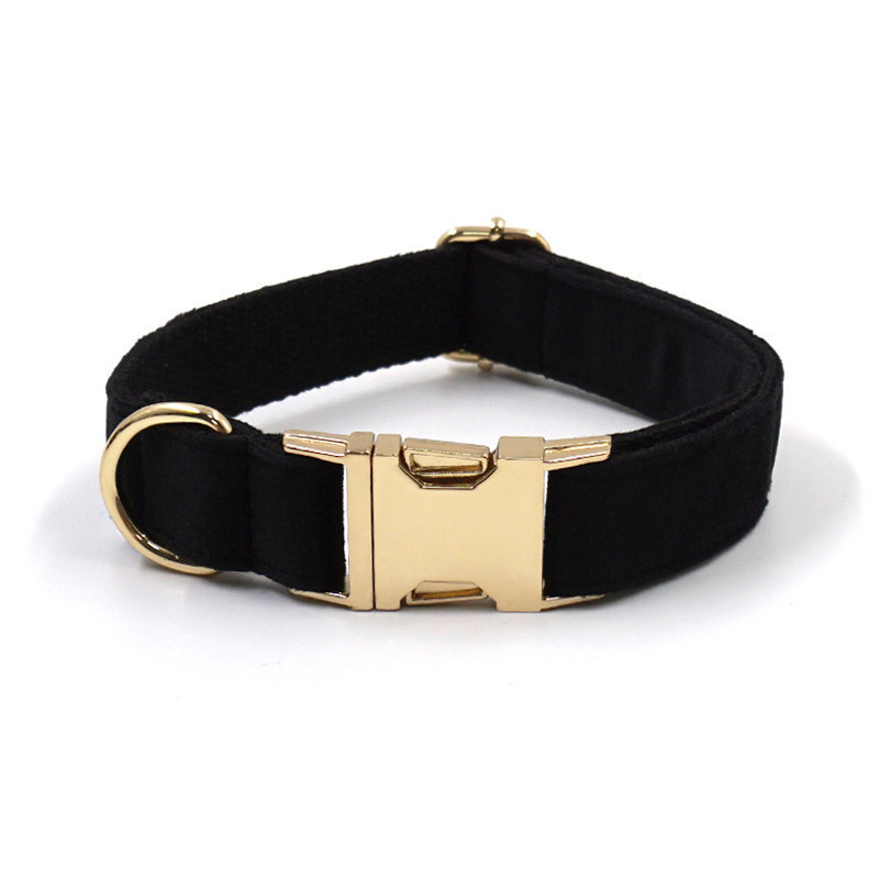 Anti-lost Dog Collar Image 3
