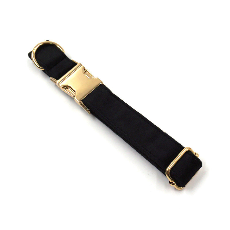 Anti-lost Dog Collar Image 2