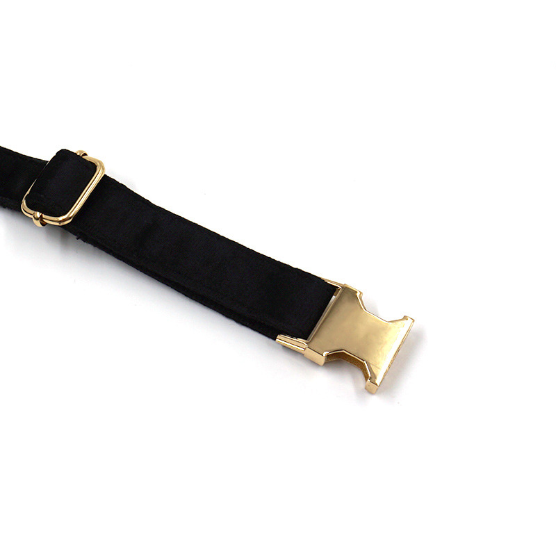 Anti-lost Dog Collar Image 4