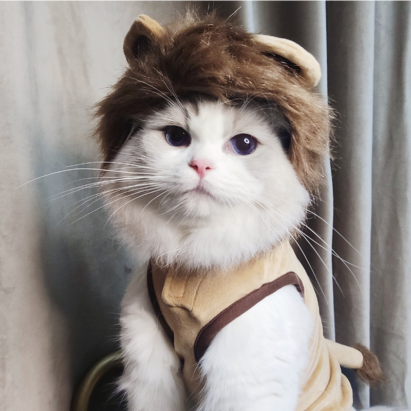 Animal Costume for Pets