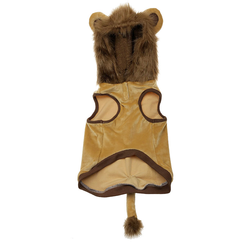 Halloween Pet Costume