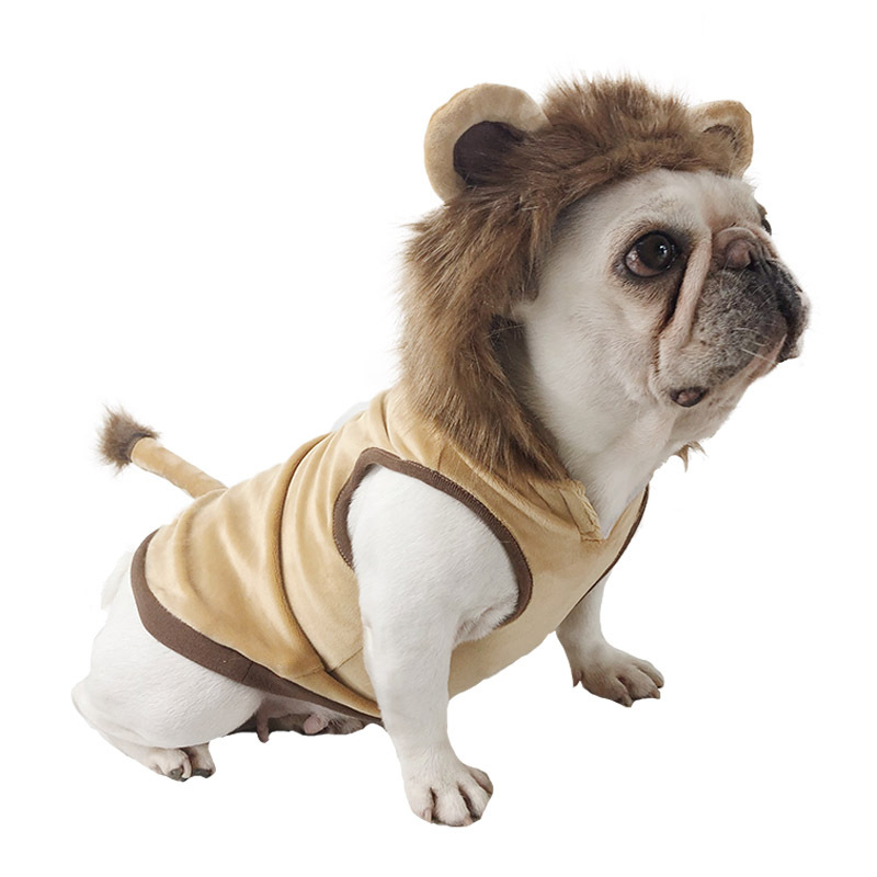 Furry Friend in Costume