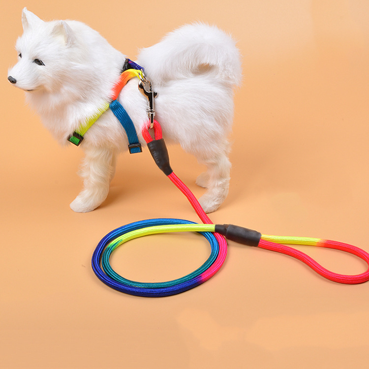Colorful Nylon Round Dog Rope 1