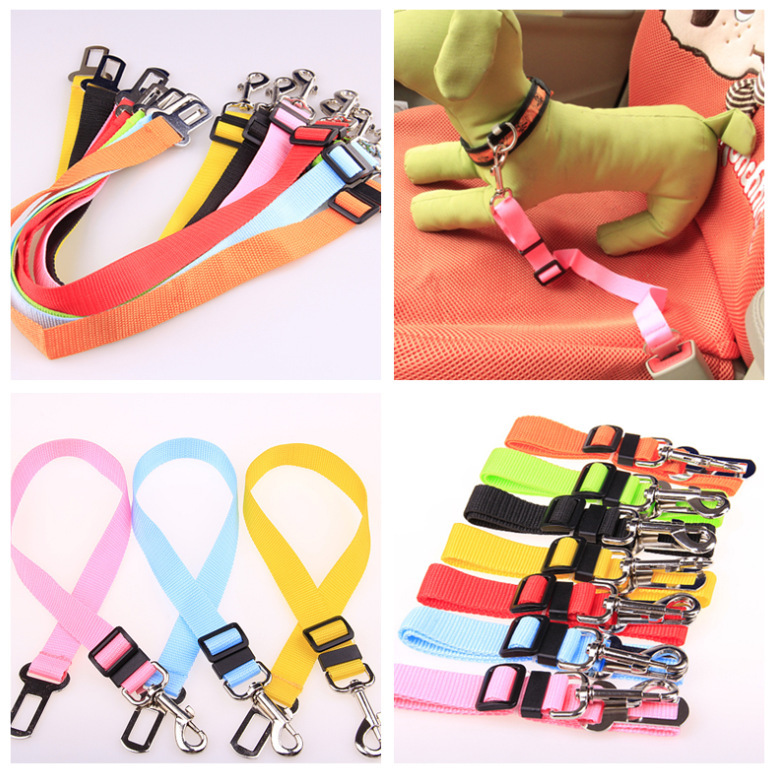 Dog Leash Design 6