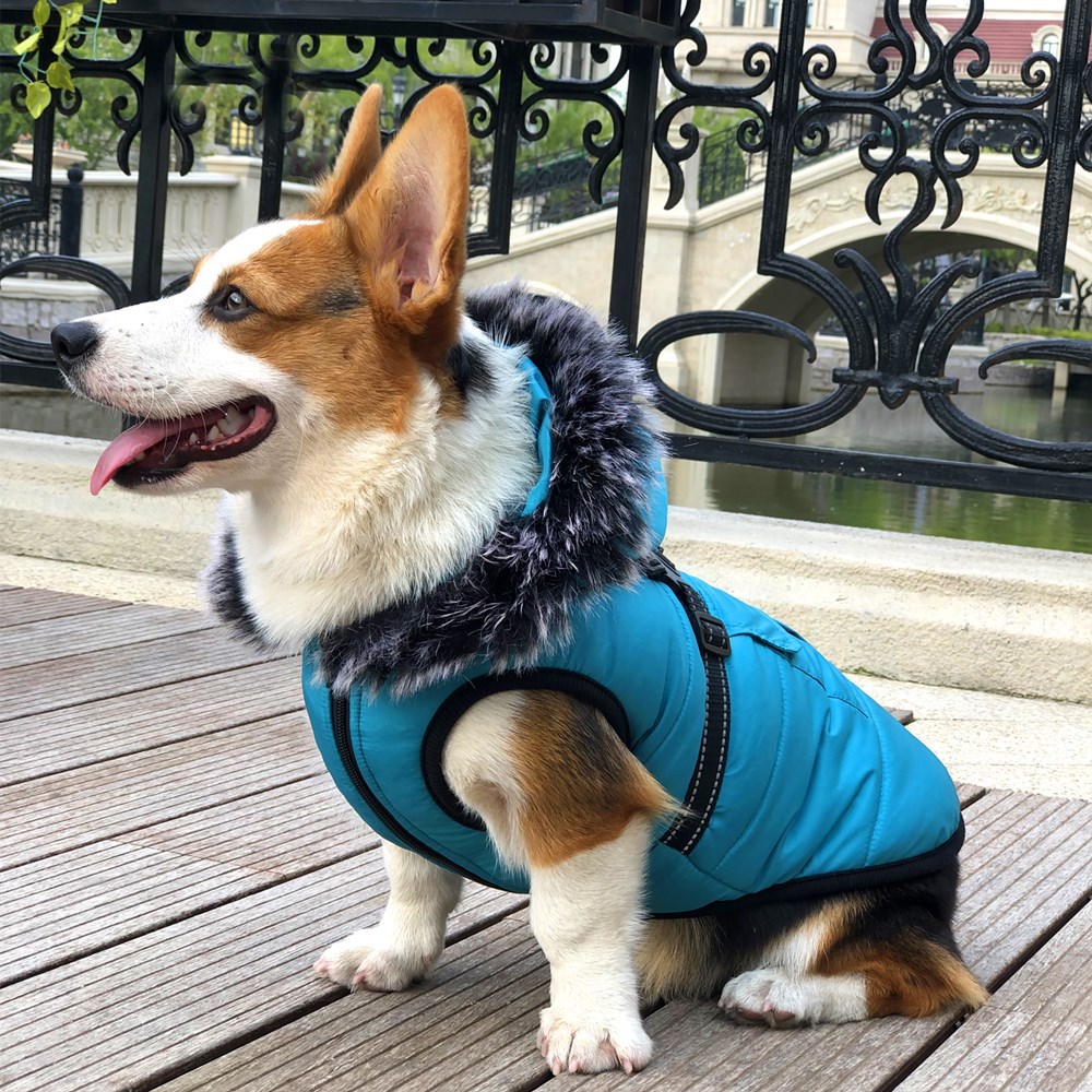 Thickened Winter Cotton Vest 4