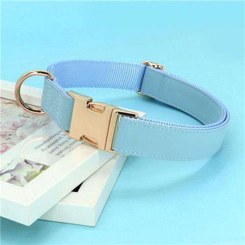 Gold Collar Dog Tag Anti Loss - Image 2