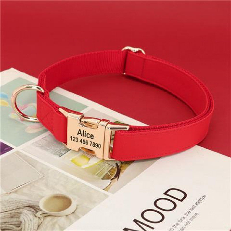 Gold Collar Dog Tag Anti Loss - Image 3