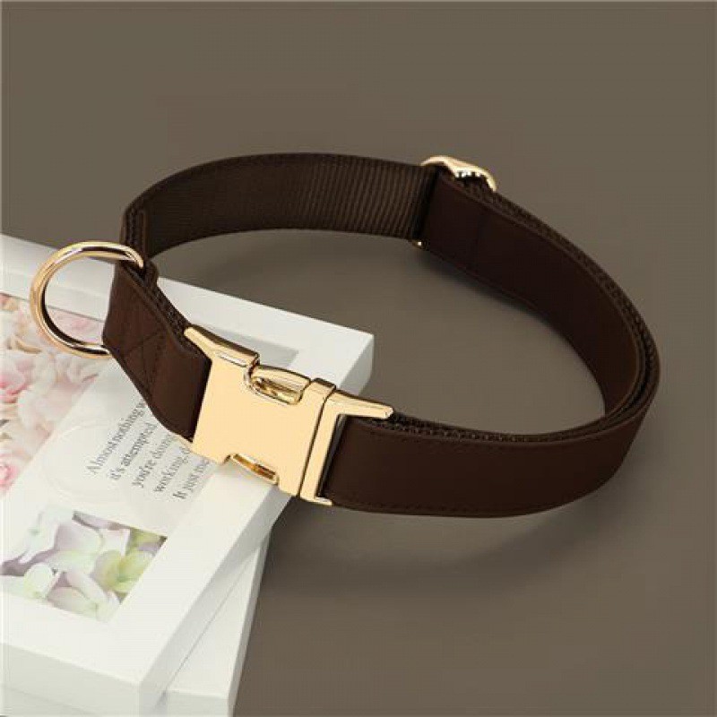 Gold Collar Dog Tag Anti Loss - Image 4