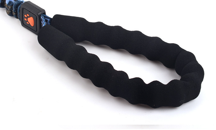 Leash Variants