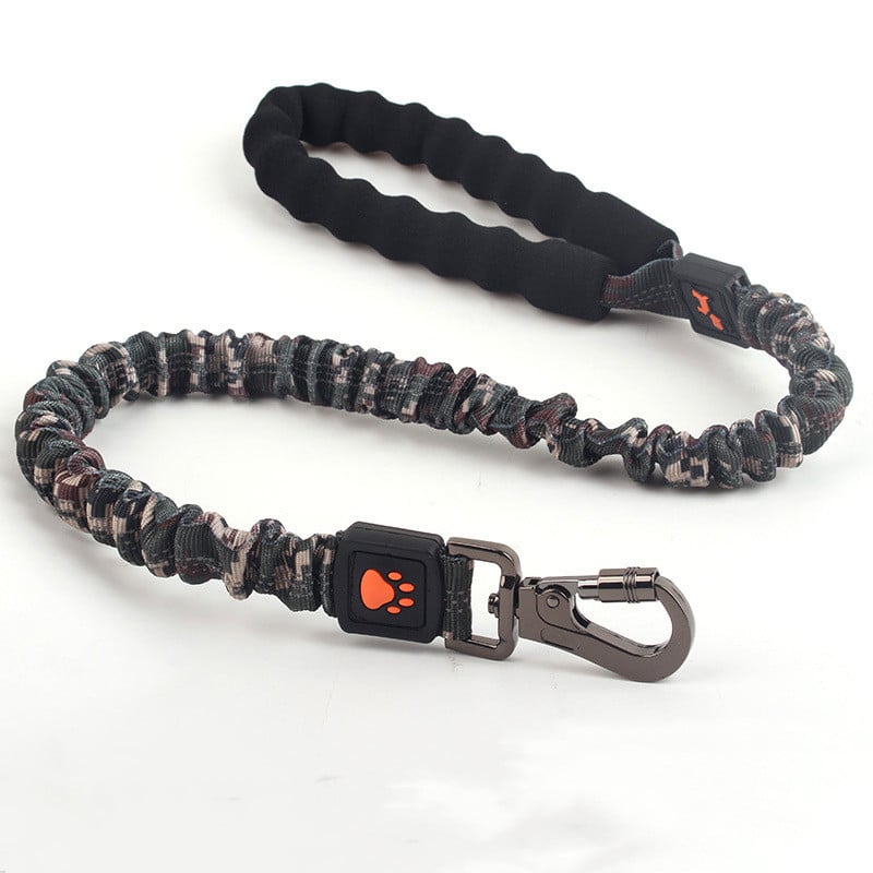 Leash in Use