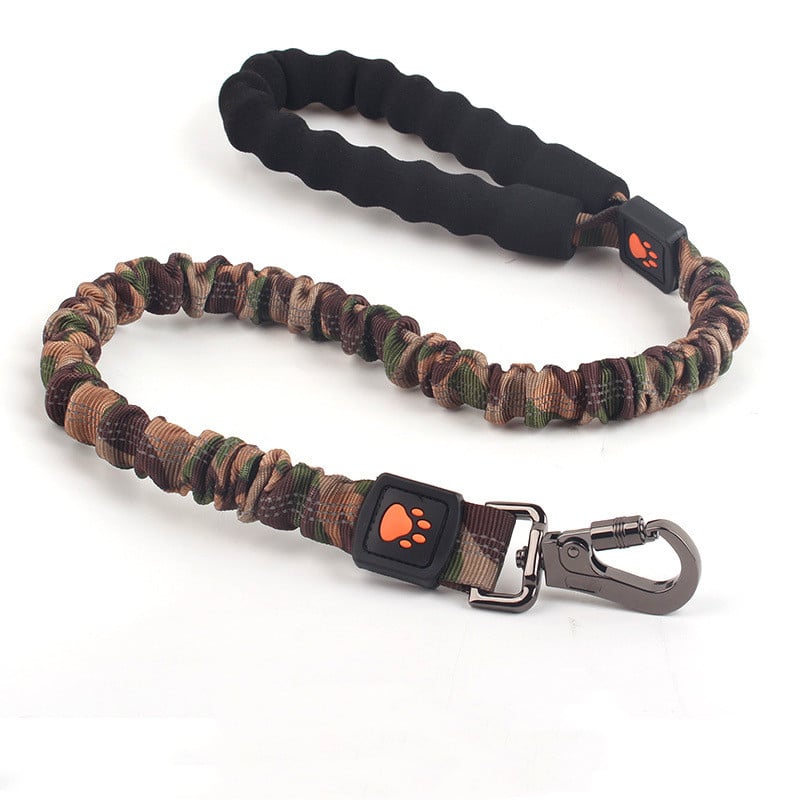 Leash Features