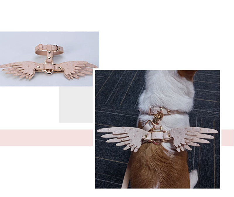 Victoria's Secret Cute Pet Chain Image 6