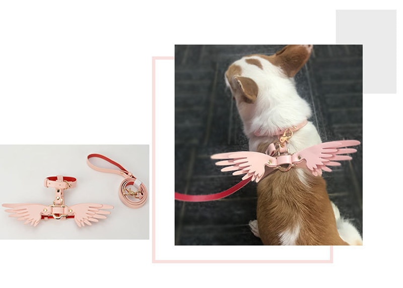 Victoria's Secret Cute Pet Chain Image 4