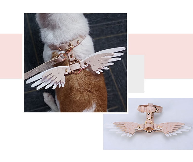Victoria's Secret Cute Pet Chain Image 5