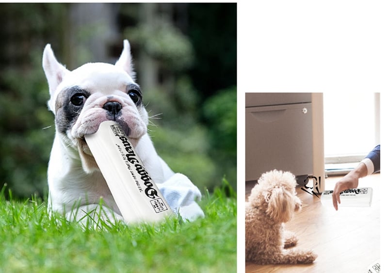Squeaky Pet Dog Toy