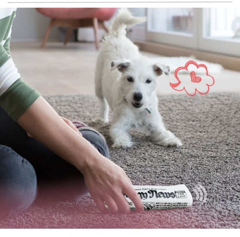 Squeaky Pet Dog Toy