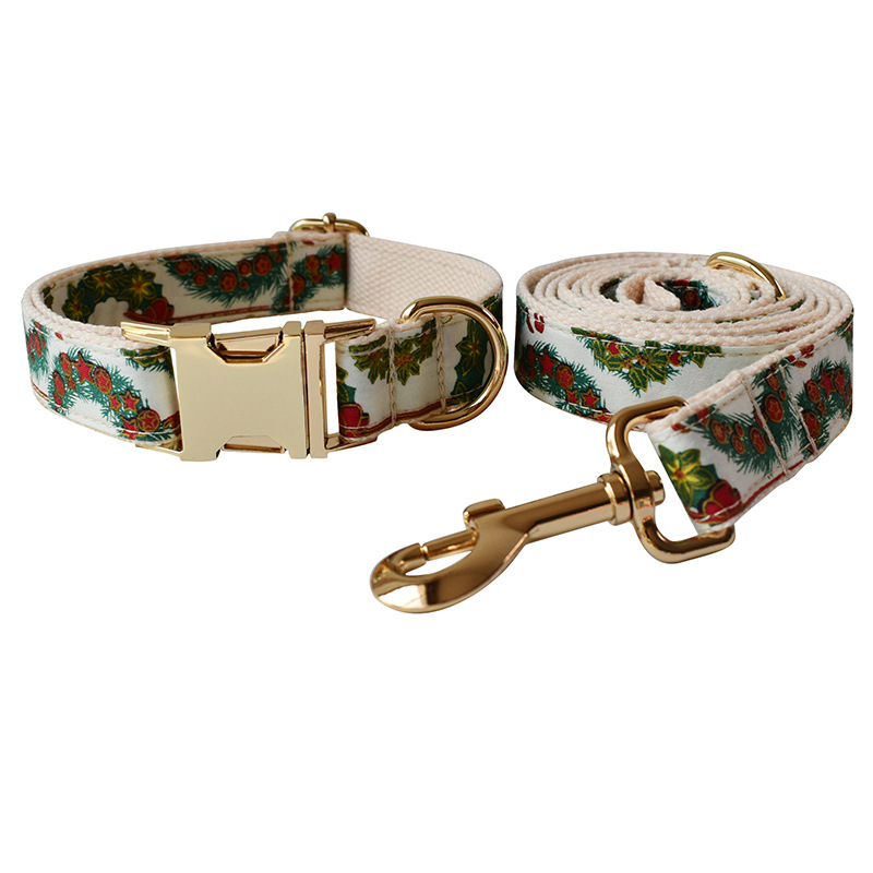 Dog Collar 2