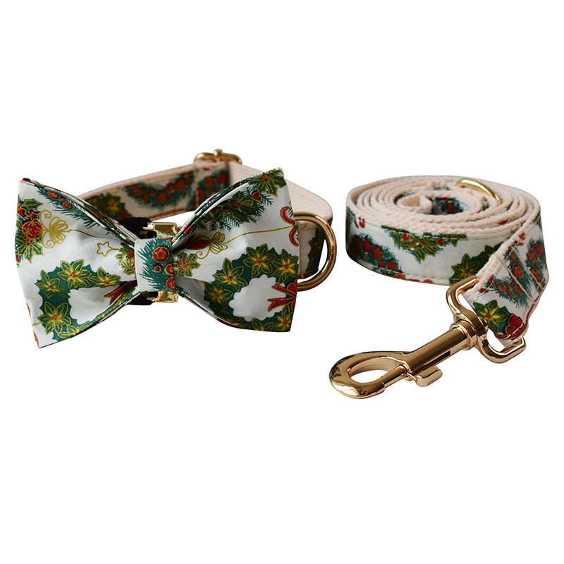 Dog Collar 1