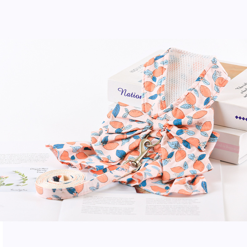 Dog wearing the Thin Princess Dress 2