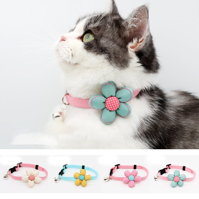 Pet Collar Image 5