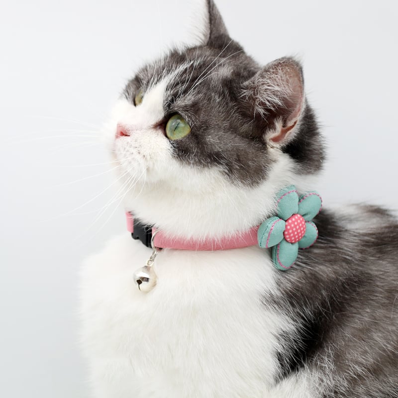 Pet Collar Image 6