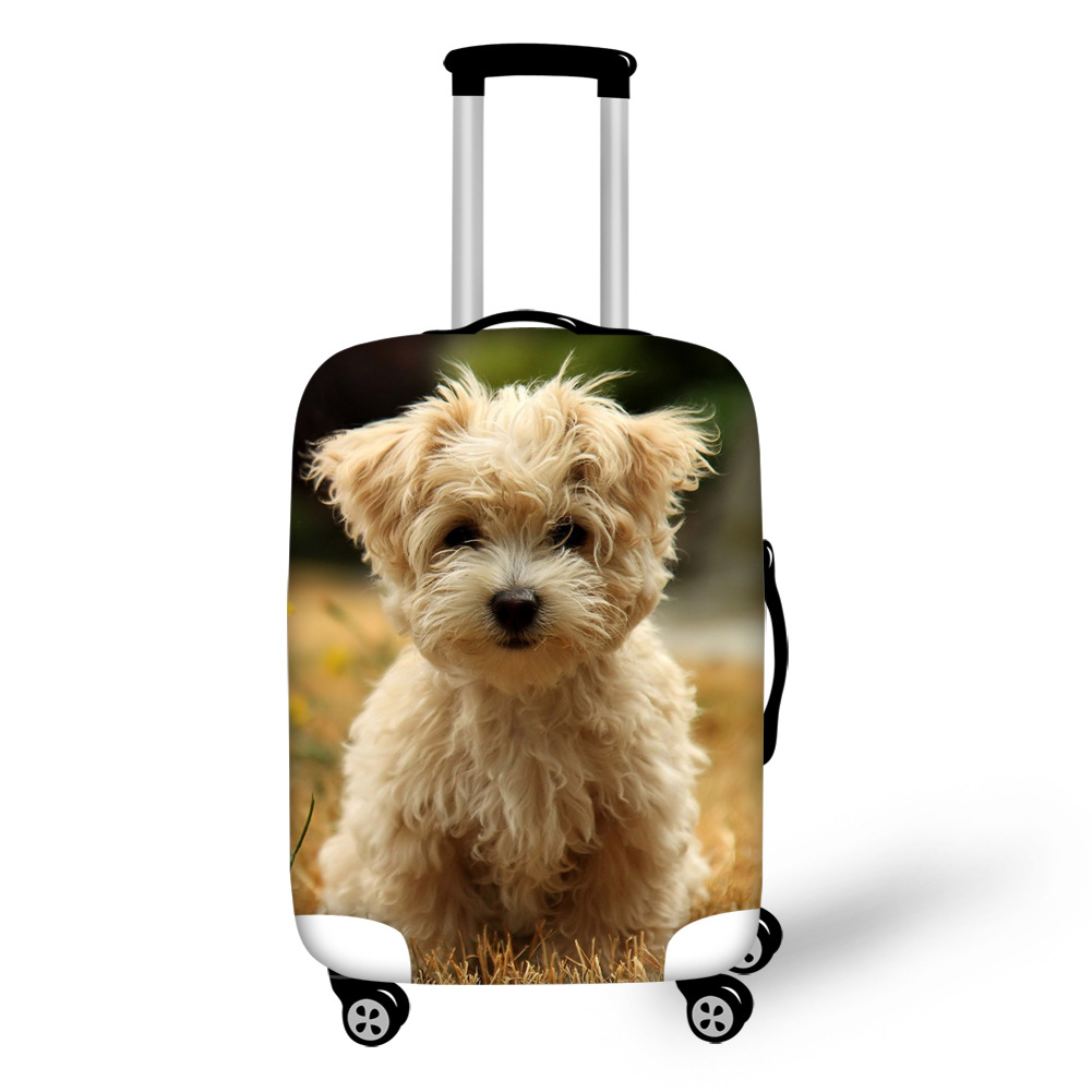 Travel Style
