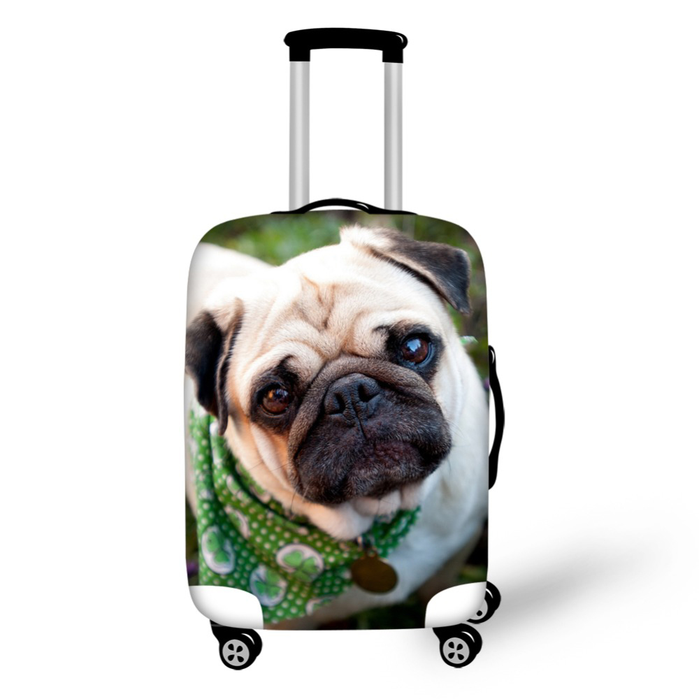 Protection for Your Luggage