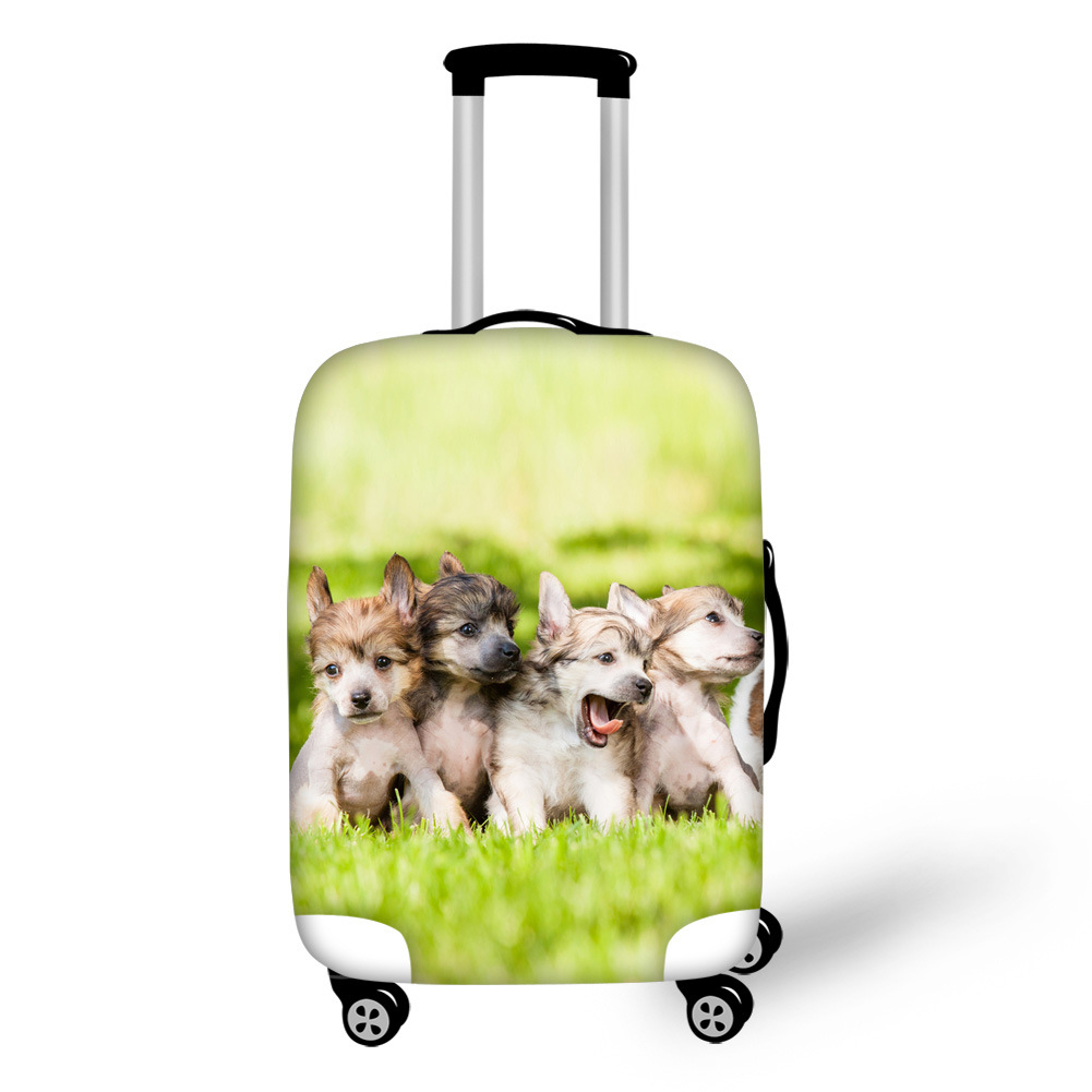 3D Animal Design