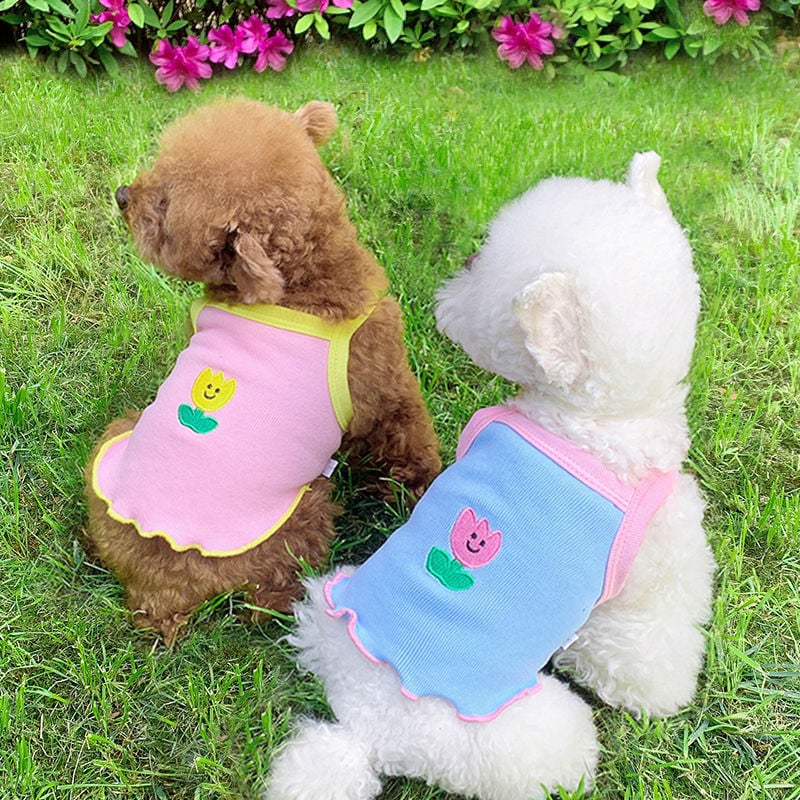 Dog Summer Clothes Style
