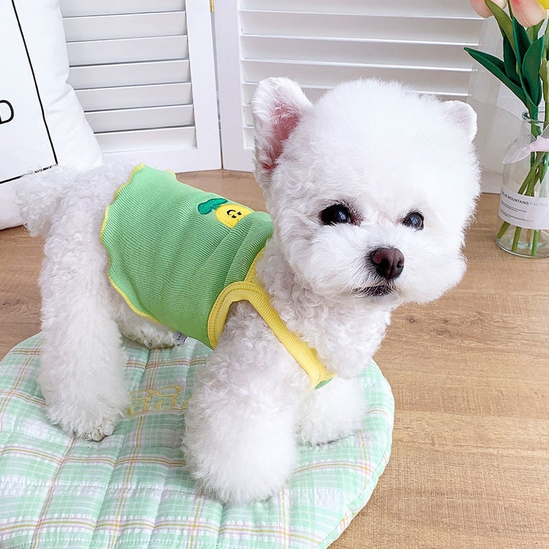 Dog Summer Clothes Minimalist