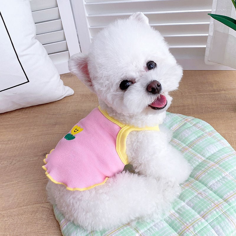 Dog Summer Clothes Blue