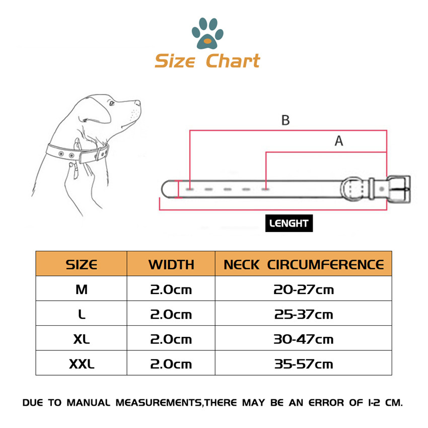 Dog Collar Traction Rope - Image 4