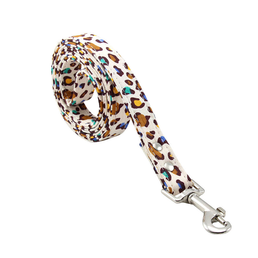 Dog Collar Traction Rope - Image 3
