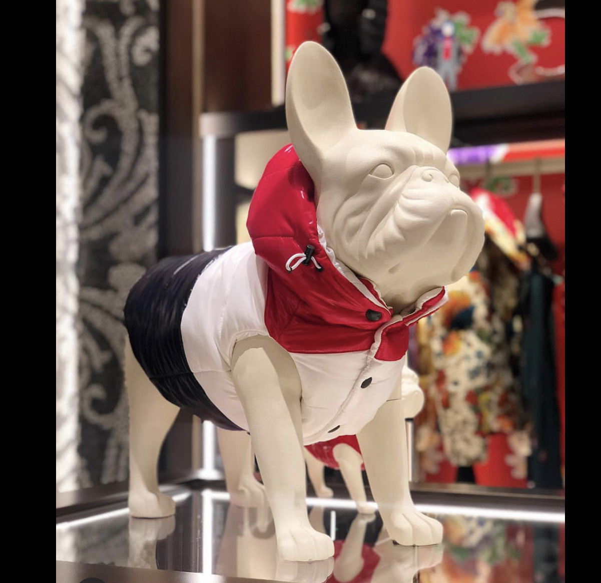Pet Vest Image 5