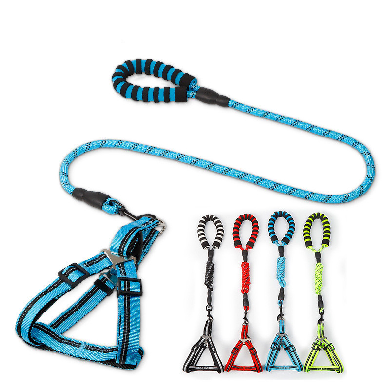 Dog Leash 5