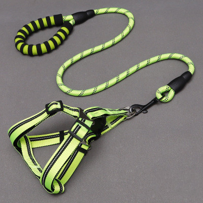 Dog Leash 4