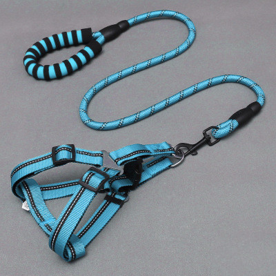 Dog Leash 2