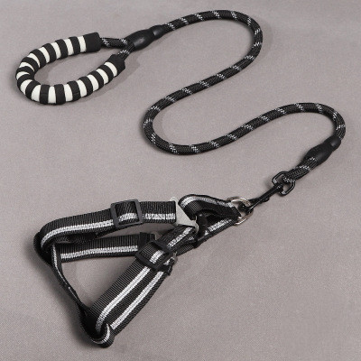 Dog Leash 6