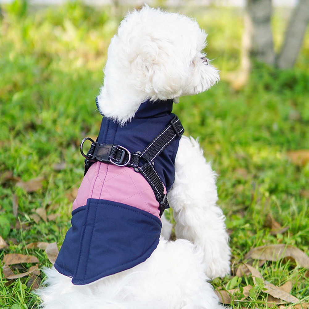 Dog Vest Image 6