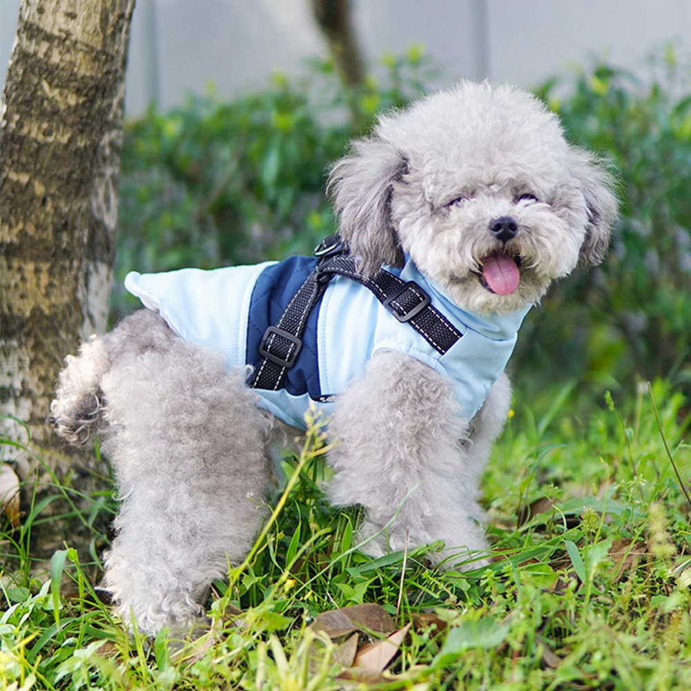 Dog Vest Image 9