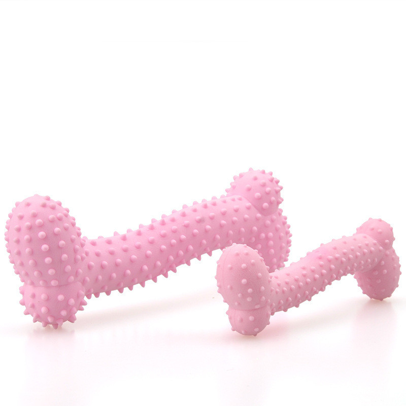 Dog TPR Milk Flavor Prickly Bone Toy